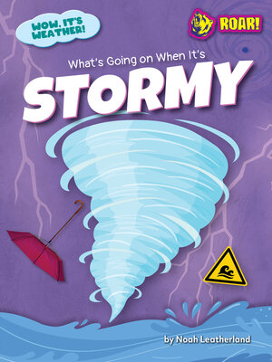 cover image of What's Going on When It's Stormy
